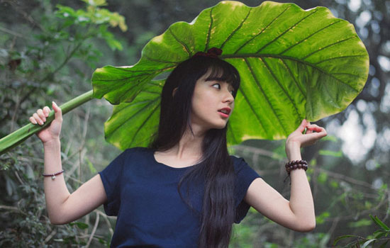 什么是DPL美容儀器？